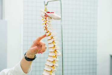 Spinal Cord Injuries Lawyer